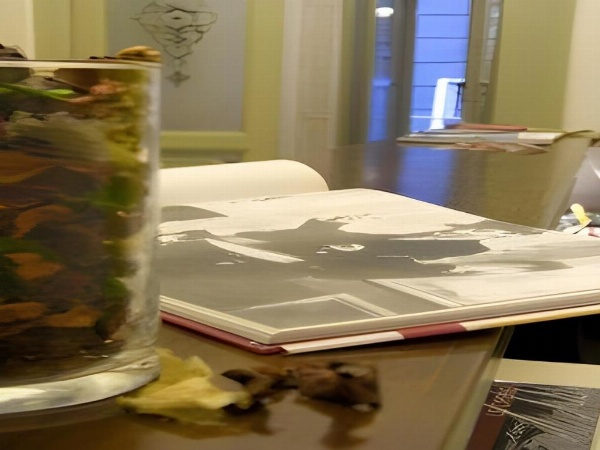 Miseria e Nobilta' Bed and Breakfast image 10